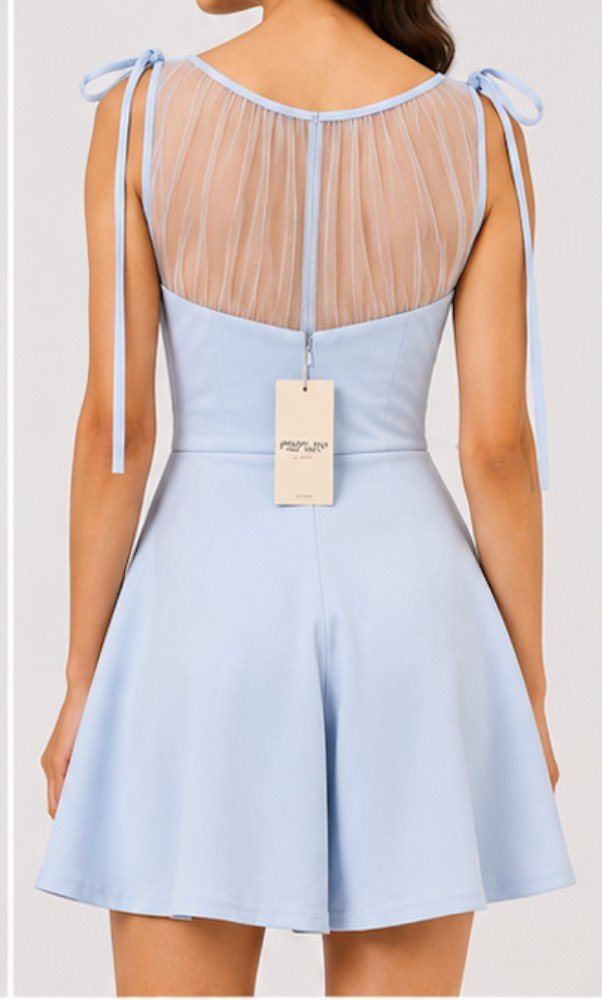Sky Blue NYVAZ Women's Sky Blue Sheer Mesh Fit & Flare Mini Dress